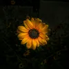 nhuquynh.3.4