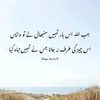 m.gulamabbas