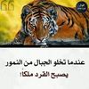 user7412399718888