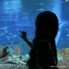 aqila.slebeww_