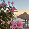 lou_1148