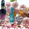 myparfume.01