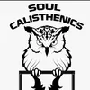 soulcalisthenic