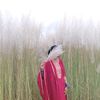 sanuh393