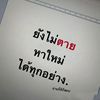 lps_52_49