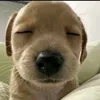 hi.yyyyyyy_0