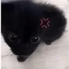 ra.yzzzzz