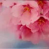 izumin.1223