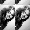 alvshx._