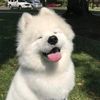 phoopwintsann2