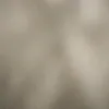 chan12604