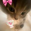 ksenia_12368