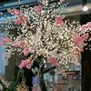 claudiamontatore8
