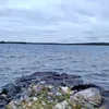 vittumikaaneikelpaa