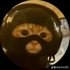 truongthuan_36
