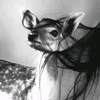 le_ah76
