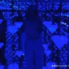 sahar_zrr