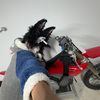 yaruka_on_femtanyl
