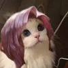 ktn_kan