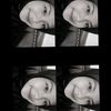 wulanwylas