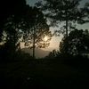 rojitshrestha945