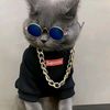 patzz.ajaa