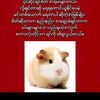 useryoonchitthu16