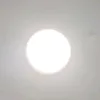 apple_23238