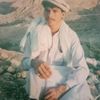 gull_____hassan