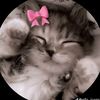 sabbu_73