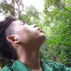 cn.mt.lm