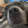 tomas_mtb22