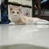 yulyy855