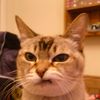 user110619840