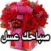 tiktok.comuser9941