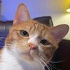 supermeong_