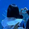 a.y.a._1411