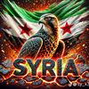 tarek.alhomsi