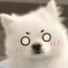 luan_edithihi