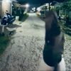mieeayamm_49