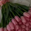rafif_3240