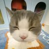 avisaww10_