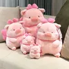banhbaobmy