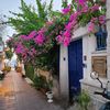 bodrum_gulu