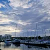 johnnguy35