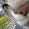 il0vemycatzz