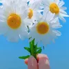 nabafuad4