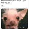 juanjosecrespobar