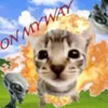 doaanotfound