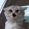 domi_0892